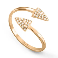 Anillo Arrows