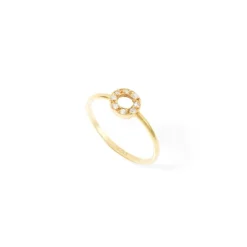 Anillo Circulo Brillantes Detail