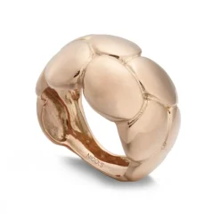 Anillo Oro Basic Gold Caparazón Liso