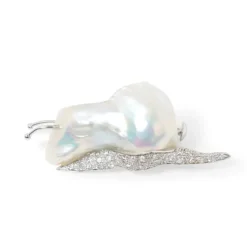 Broche Caracol Naturalmente