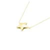 Collar Estrella Bombé