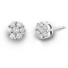 Pendientes Diamantes Camelia 1.00 Dormilonas