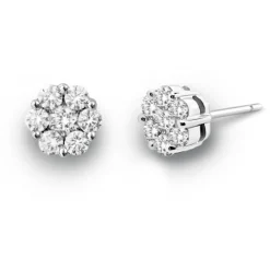 Pendientes Diamantes Camelia 1.00 Dormilonas